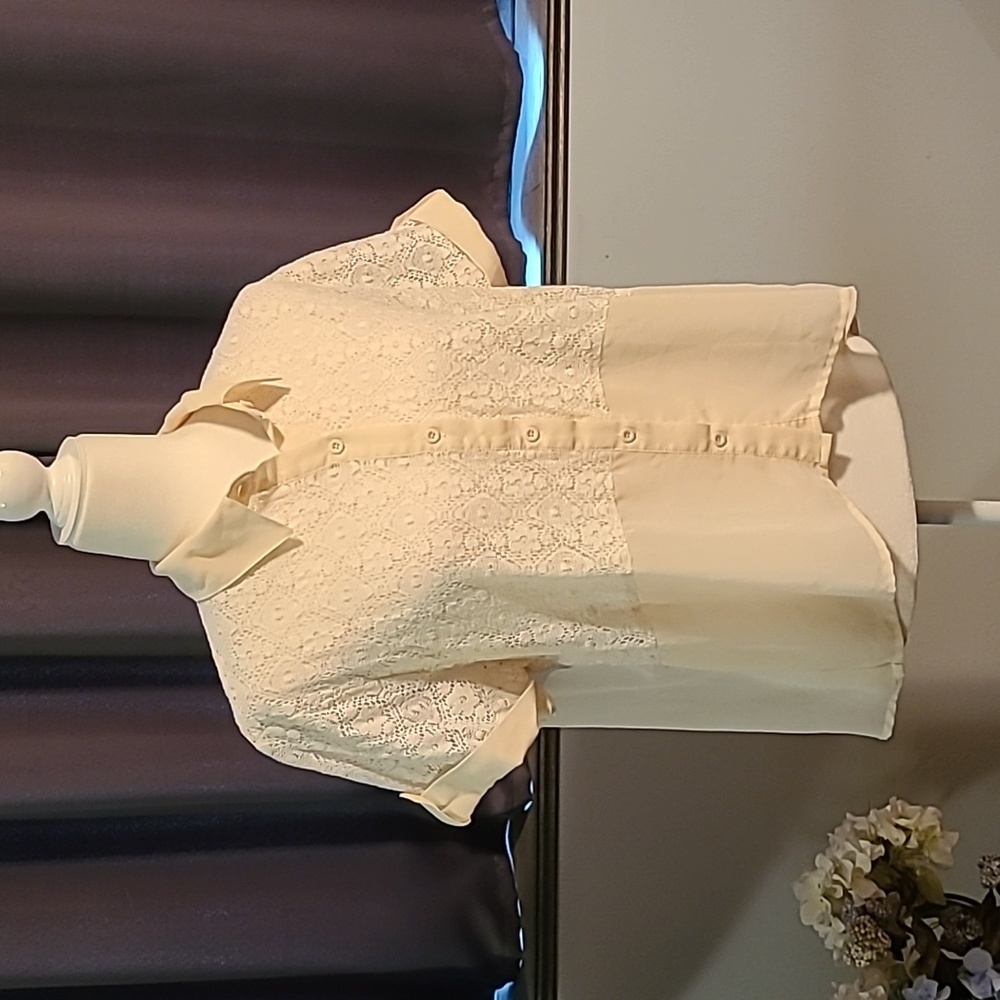 Forever 21 Lacey Sheer Blouse